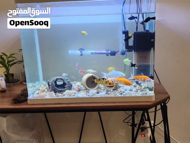 للبيع حوض سمك