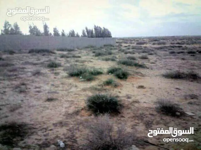 Farm Land for Sale in Sirte Qasr Abu Hadi