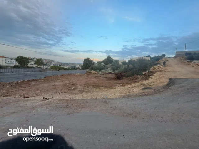 ارض نص دونم ع شارعين اول فرعون الارض قاعدة بتجنن