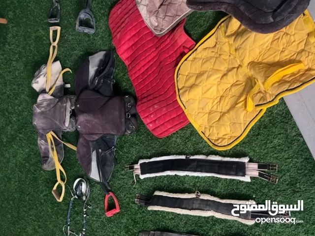 للبيع سرج خيول عدد 4