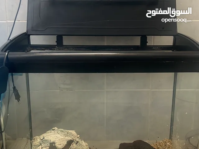 حوض سمك زجاجي كبير مع اكسسورات واضاءة حالة ممتازة للبيع