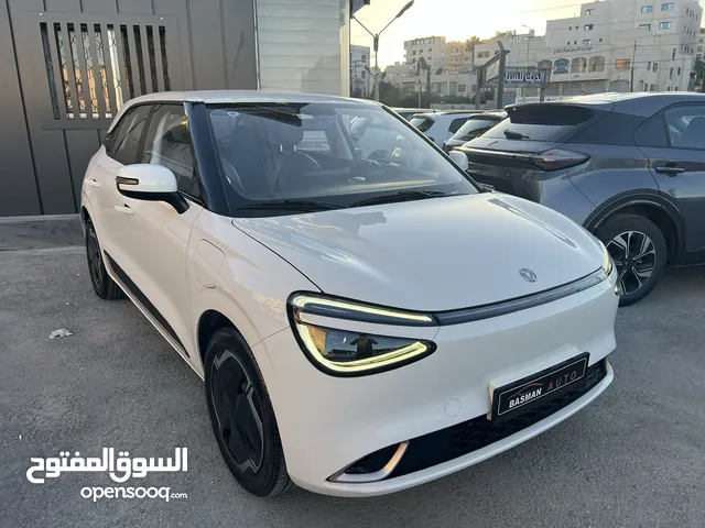 Dongfeng Nammi box 2023