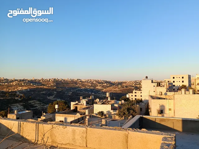 Jenan ruziqat