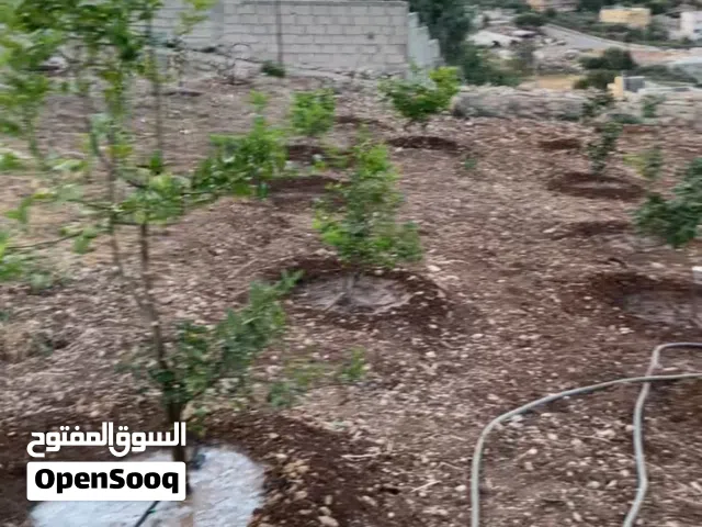 Residential Land for Sale in Salt Other