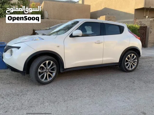 2013 نيسان جوك Standard