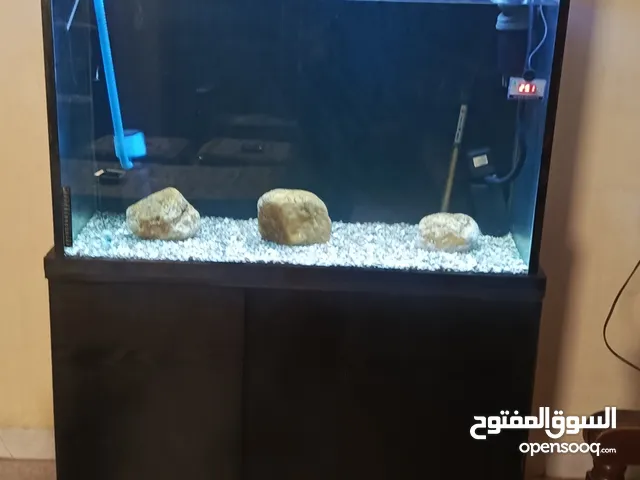 حوض فخم جدا شوف الوصف و ركز منيح