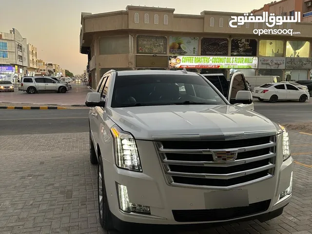 Used Cadillac Escalade in Ajman