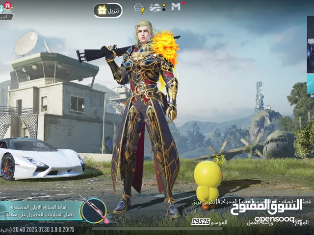 Pubg Accounts and Characters for Sale in Northern Governorate