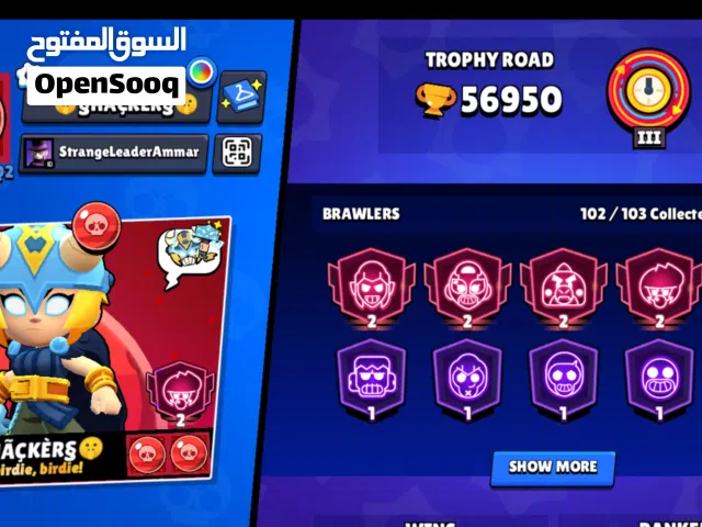 Accounts - Others Accounts and Characters for Sale in Amman