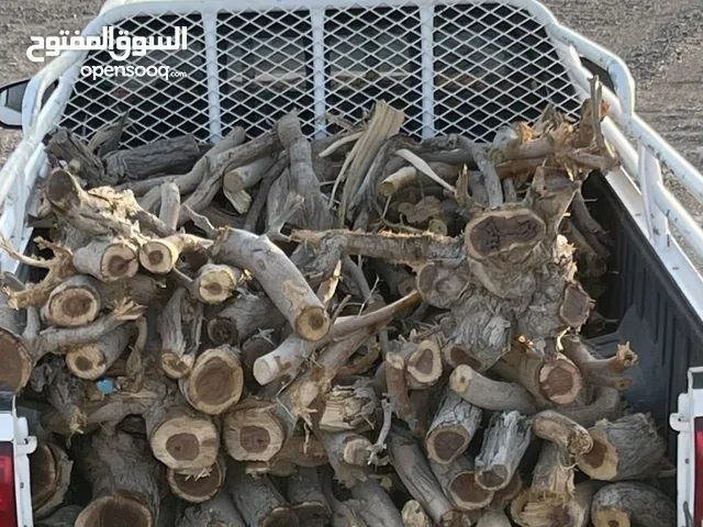 حطب سمر مقطع