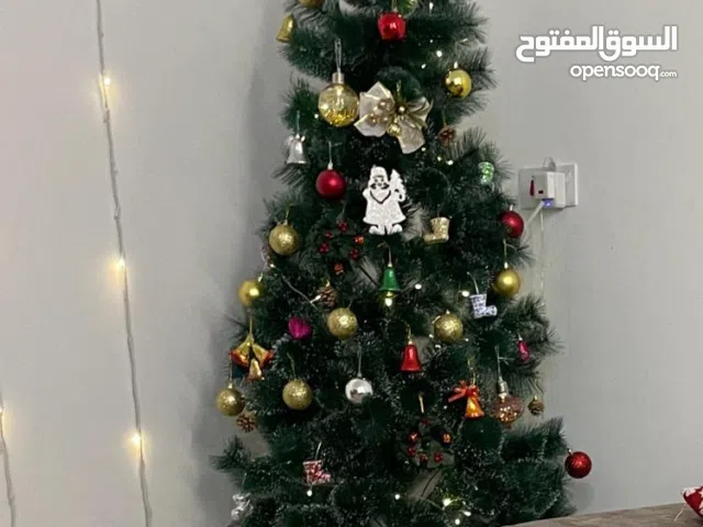 شجرة كرسمس لبيع 40الف كبيرة
