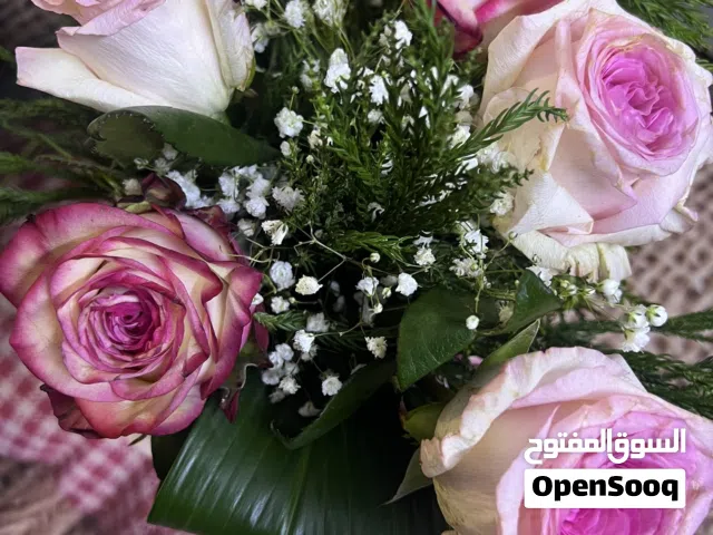 شقة للايجار