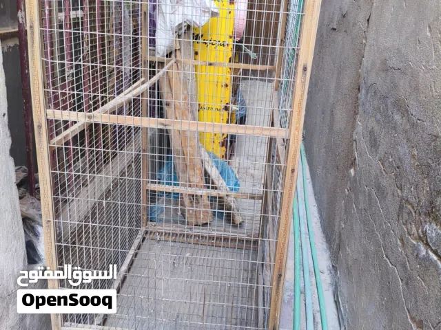 قفص كبير وقوي اقرا الوصف
