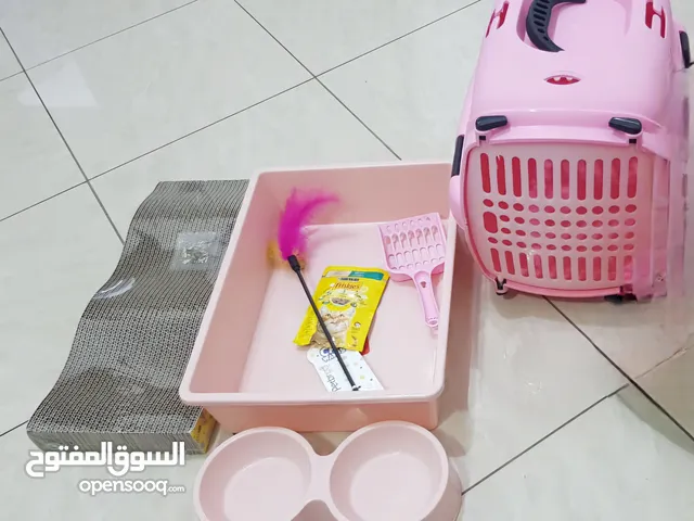 Cat supplies (Pink Theme)-all new