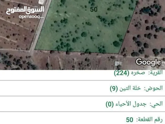 Farm Land for Sale in Ajloun Sakhra