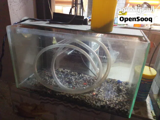 حوض سمك 50 سم معاه جاره كل شيء من عدا الفلتر وحجار ما في معه سمك وحوض نظيف ما في