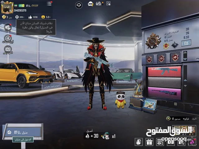 Pubg Accounts and Characters for Sale in Sharjah
