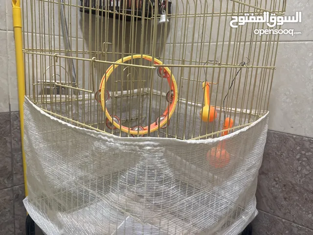 Cage for parrots