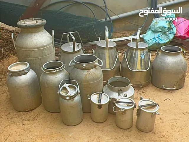 ديقات حليب ايطاليات