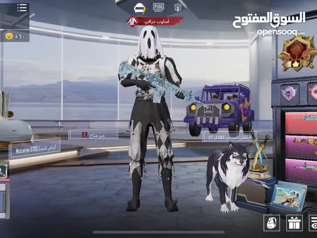 Pubg Accounts and Characters for Sale in Basra