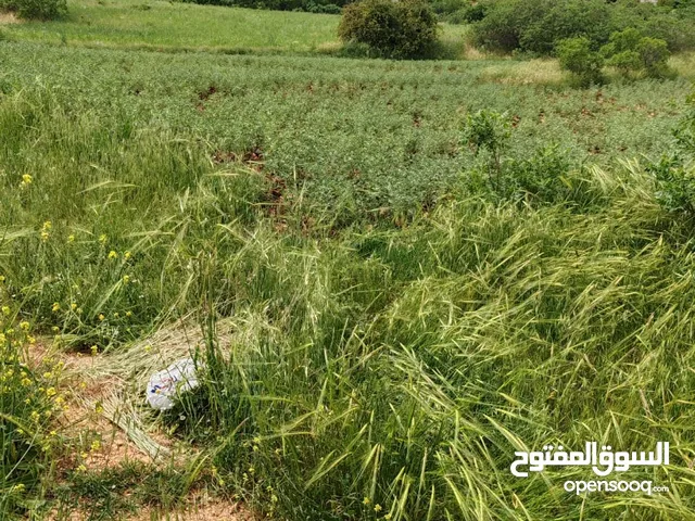 Residential Land for Sale in Ajloun I'bbeen