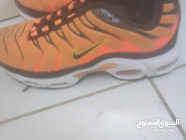 42 Others in Sharjah