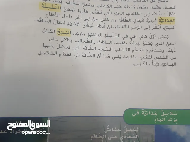 معلم خصوصي تأسيس للمراجعات