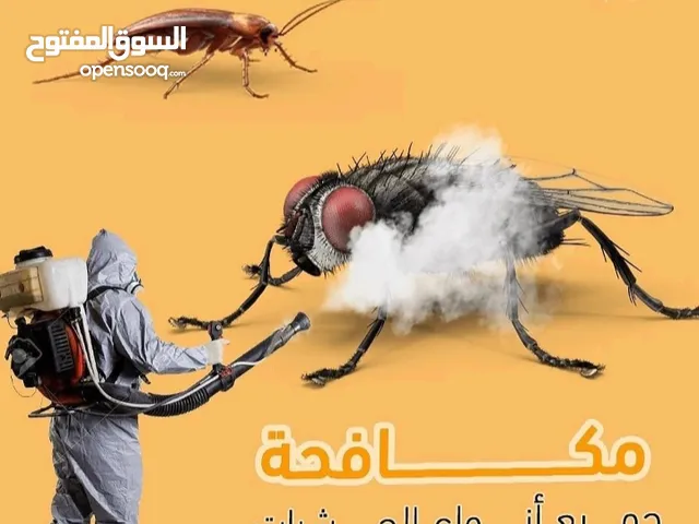 مبيدات حشري رش أشجار بيوت فلل محلات