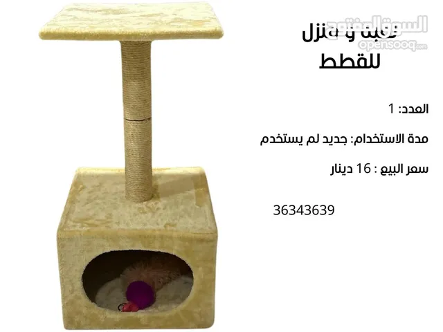 لعبة ومنزل للقطط