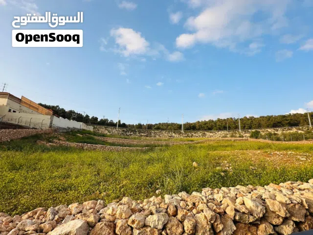 قطعة أرض للبيع في جرش ام قنطره حوض المحمر مقابل مطعم ريف المزرعة