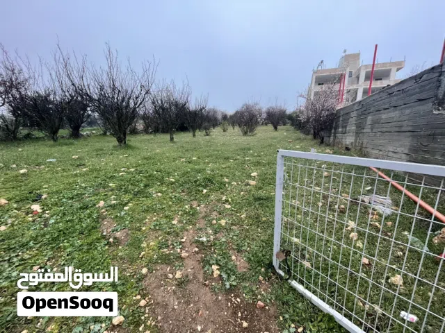 Mixed Use Land for Sale in Hebron Beit Ummar