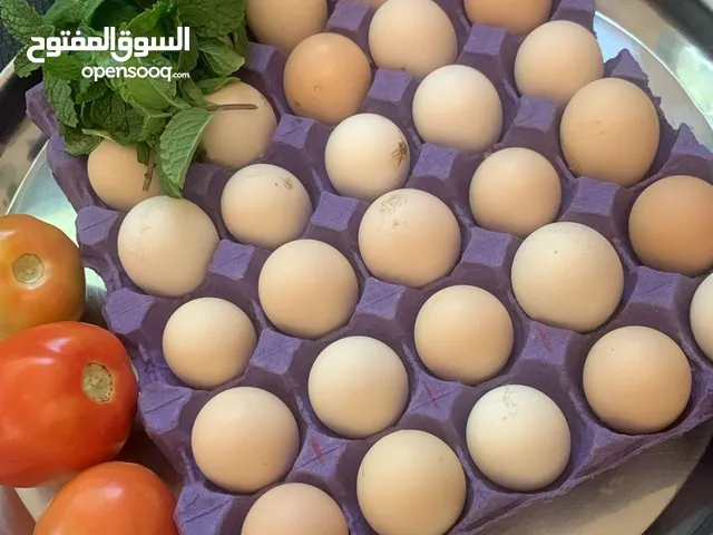 بيض بلدي منزلي -eggs for htching - fresh eggs  Barahma/ local eggs for hatching