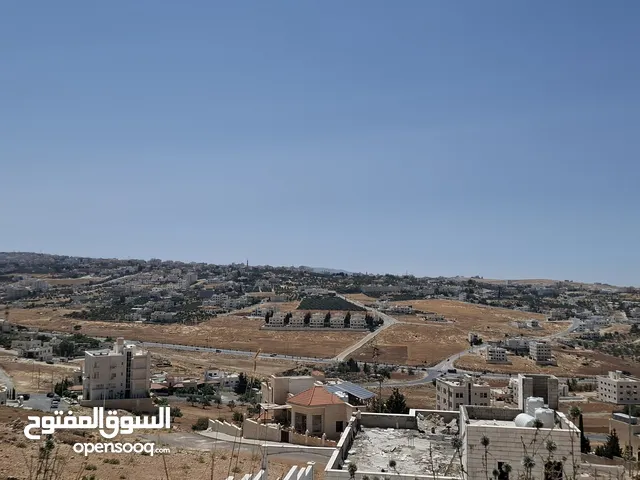 Residential Land for Sale in Amman Uyun Al-Dhib