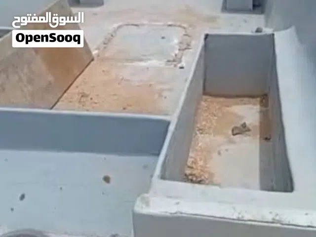 مركب بحري دوري 3قراين،5.5 طول