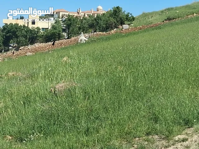 ارض في السلط الشفا الجنوبي