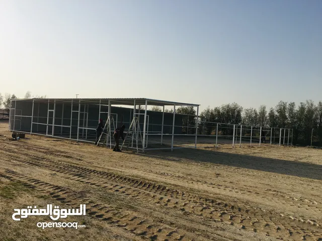 حداد عام العبدلي