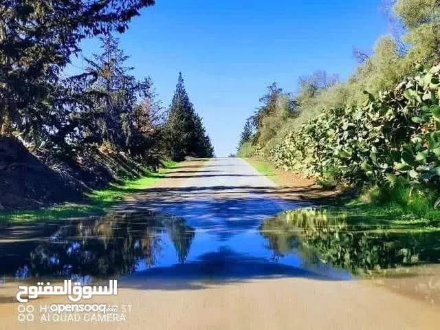 Mixed Use Land for Sale in Zawiya Western Zawiya