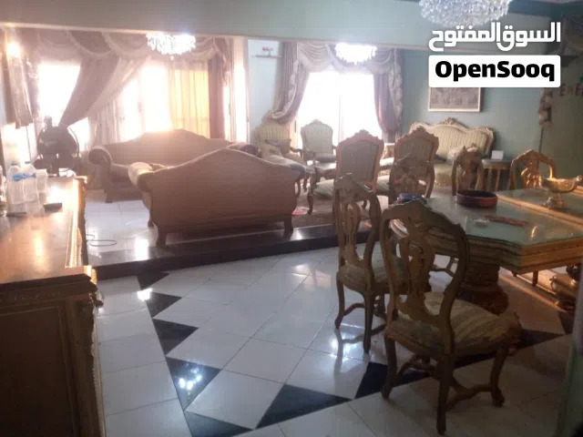 شقه مفروشه علي النيل موقع مميز بجوار معهد ناصر