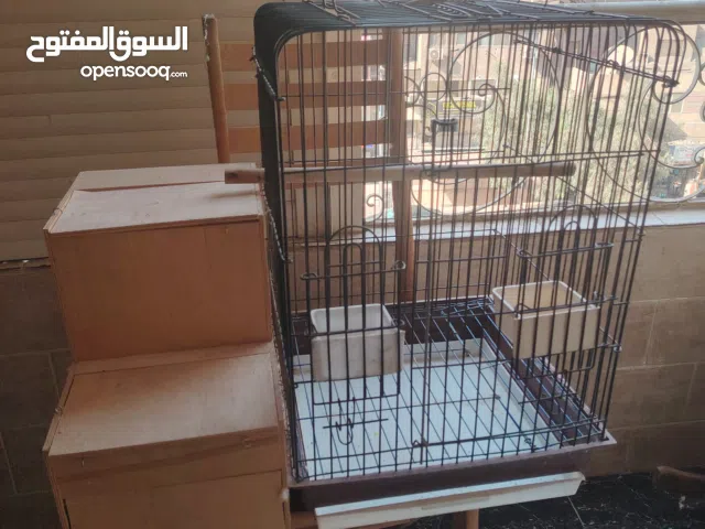 قفص بغبغانات بدون البياضه