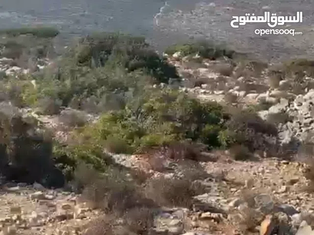دونم ارض للبيع سبب سفر السعر 20الف دينار كفر نعمه