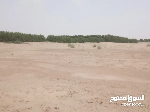 Farm Land for Sale in Al Hudaydah Other