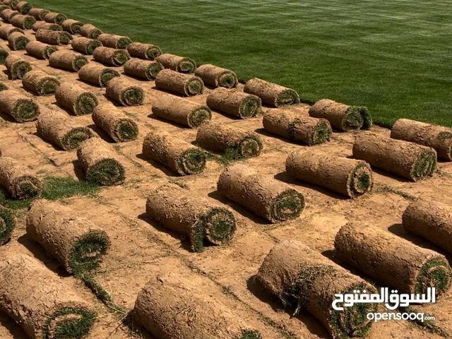 مزرعة حدائق القصيم لثيل