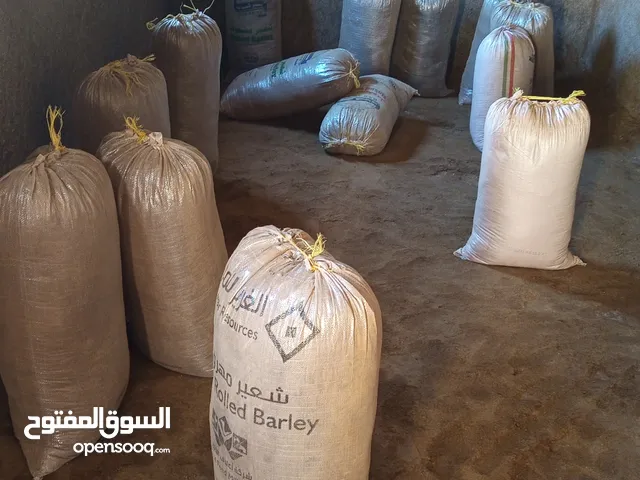 سماد غنم. نظيف ونعيم للنخيل والاشجار ممتاز