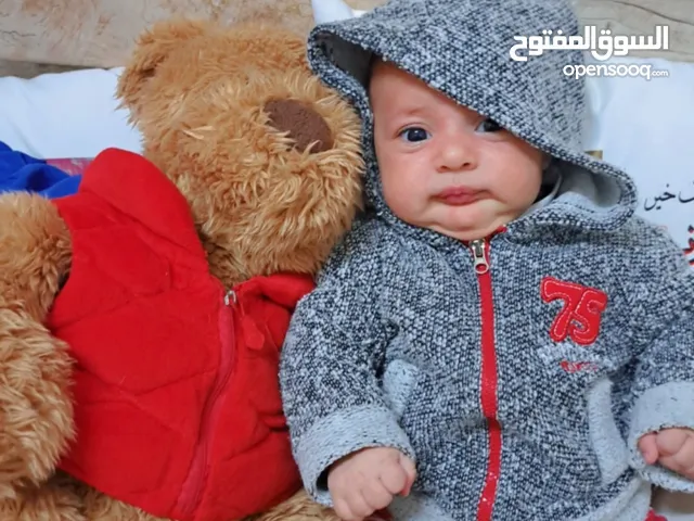 احمد مسعود بحيصي