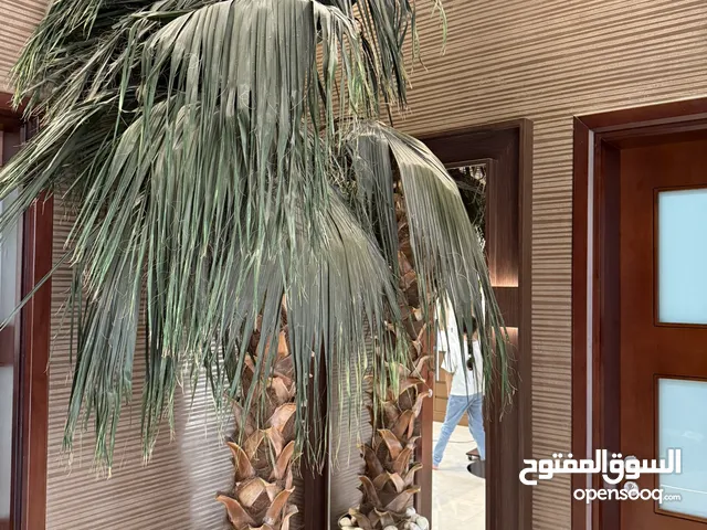 3 artificial plants
