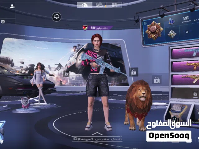 حساب ببجي للبيع
