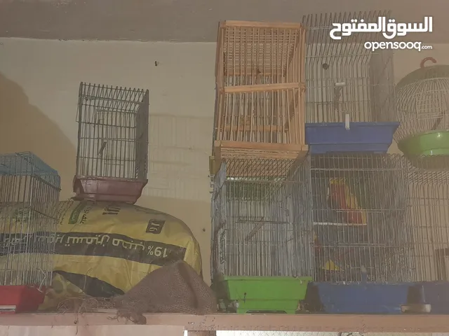 اقفاص مجموعه للبدل
