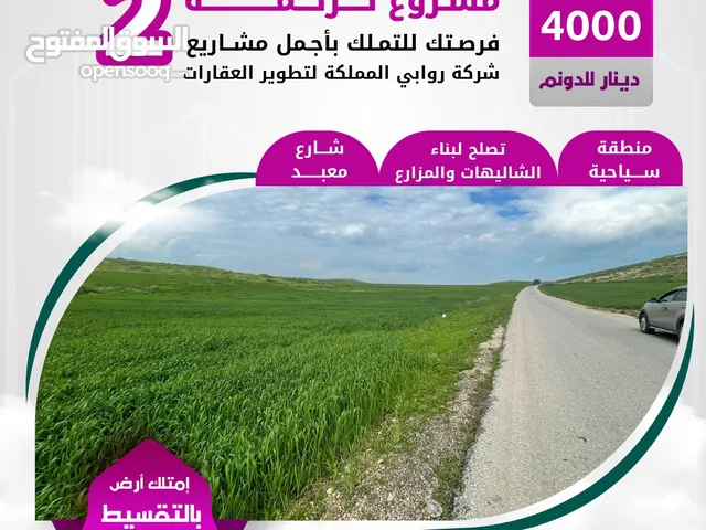 Farm Land for Sale in Amman Shmaisani