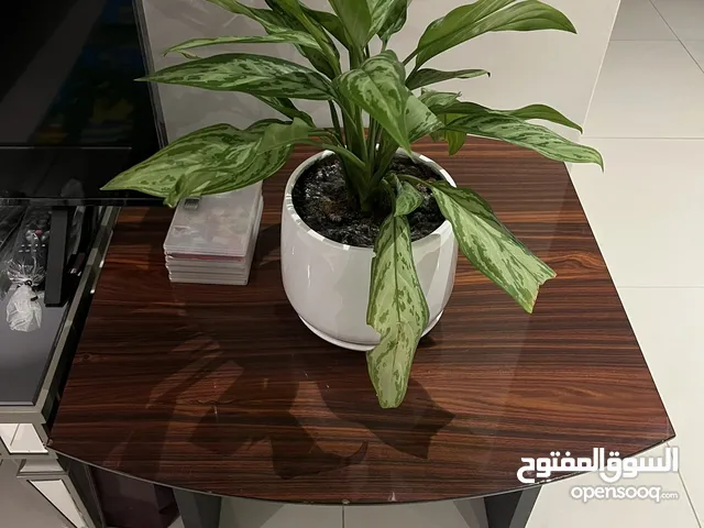 Used office furniture for sale clearance prices