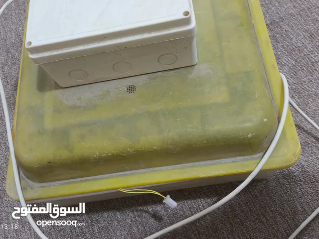 مفقس بيض يرهم بط ودجاج